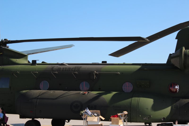 chinook147306.jpg