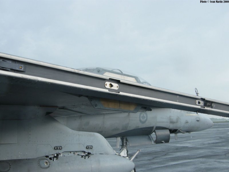 cf188b1889379.jpg