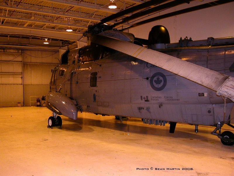 seaking1241643.jpg